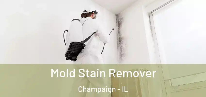  Mold Stain Remover Champaign - IL
