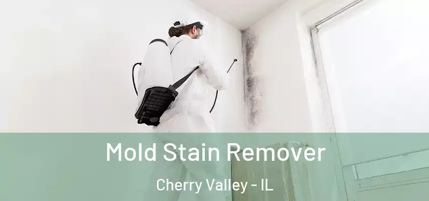  Mold Stain Remover Cherry Valley - IL