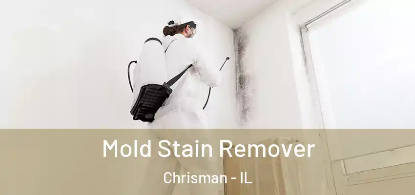  Mold Stain Remover Chrisman - IL