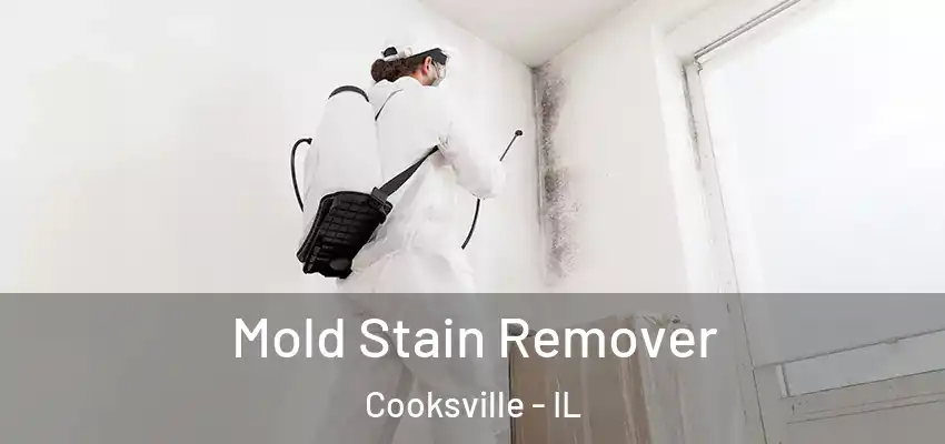  Mold Stain Remover Cooksville - IL