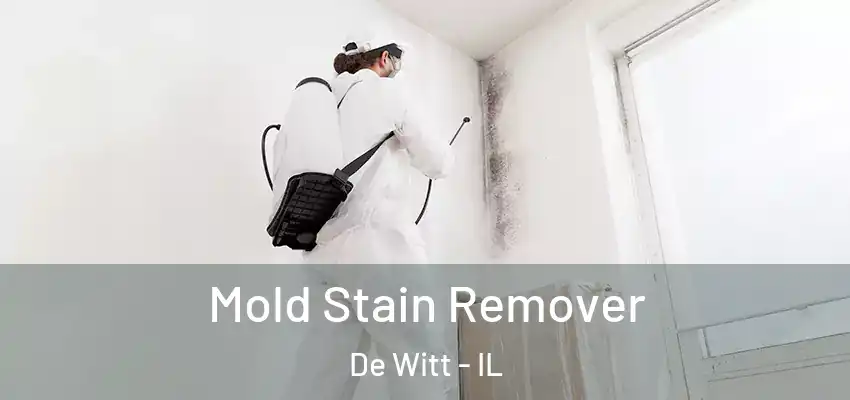  Mold Stain Remover De Witt - IL
