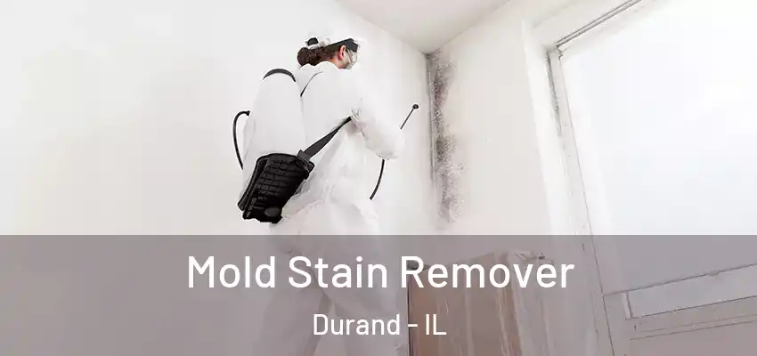  Mold Stain Remover Durand - IL