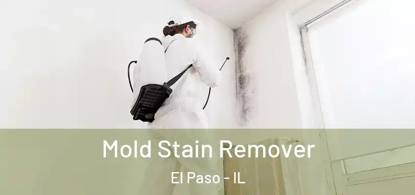  Mold Stain Remover El Paso - IL