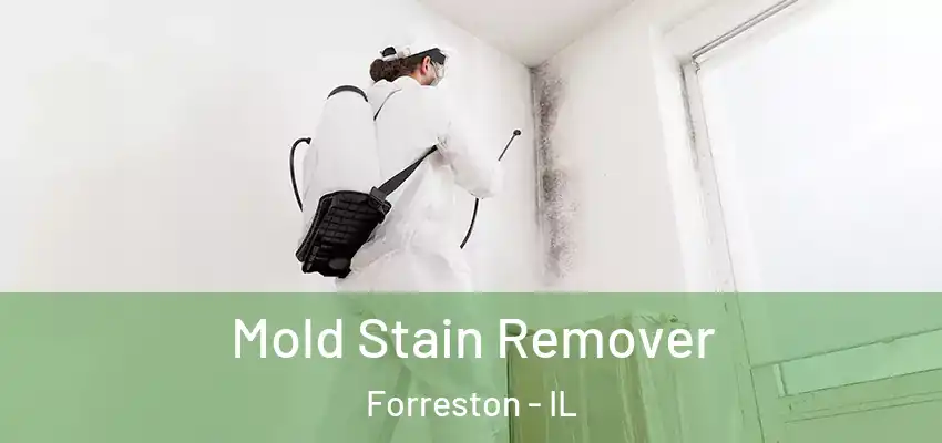  Mold Stain Remover Forreston - IL