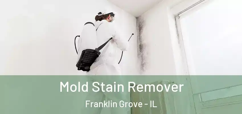  Mold Stain Remover Franklin Grove - IL
