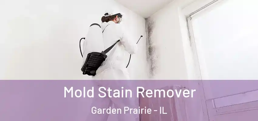  Mold Stain Remover Garden Prairie - IL