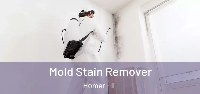  Mold Stain Remover Homer - IL