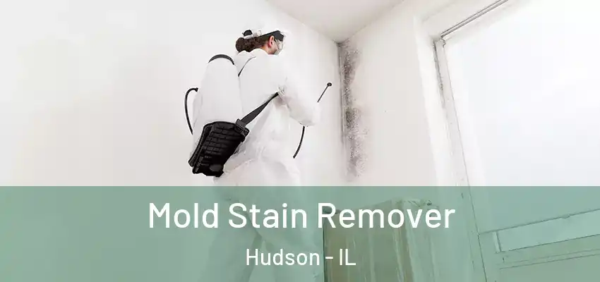  Mold Stain Remover Hudson - IL