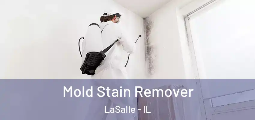  Mold Stain Remover LaSalle - IL
