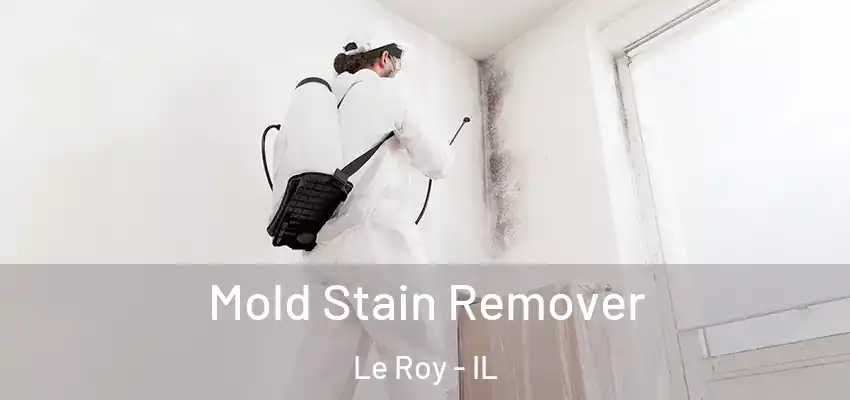  Mold Stain Remover Le Roy - IL