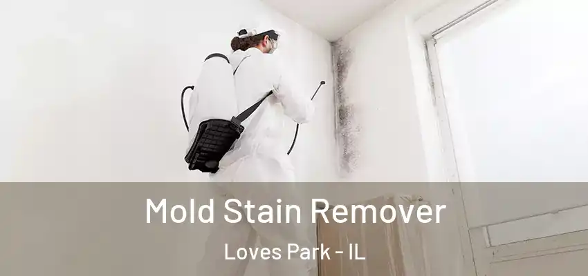  Mold Stain Remover Loves Park - IL