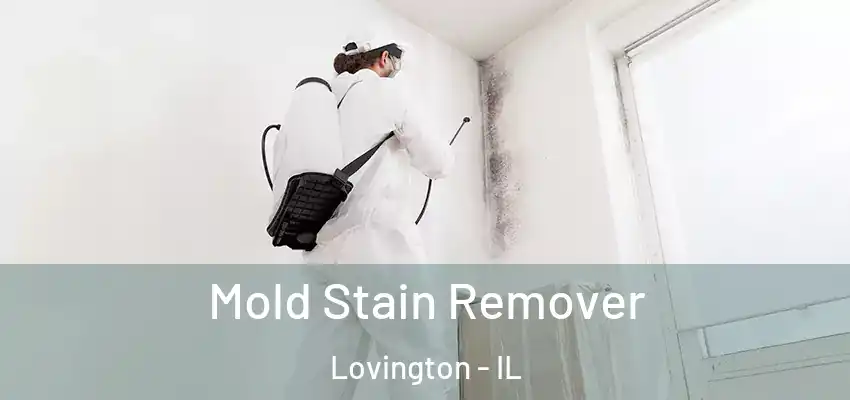  Mold Stain Remover Lovington - IL