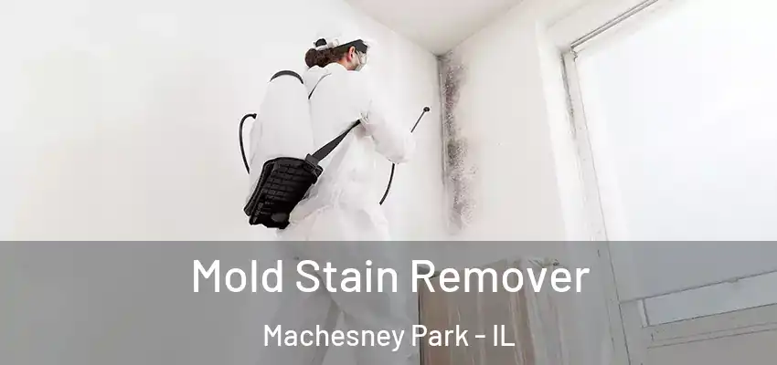  Mold Stain Remover Machesney Park - IL