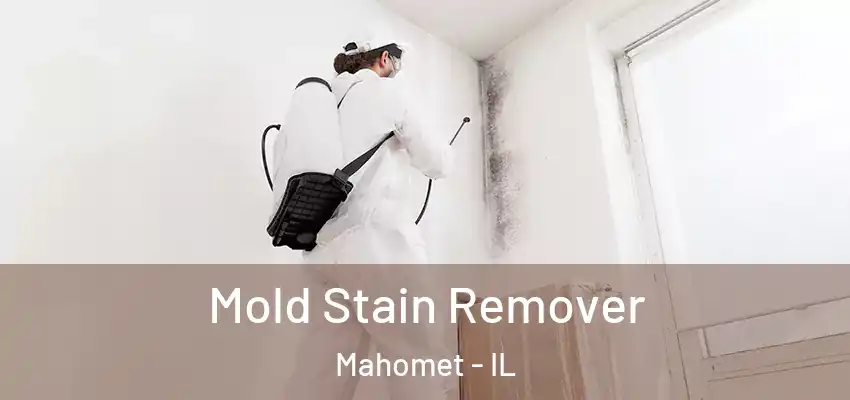  Mold Stain Remover Mahomet - IL