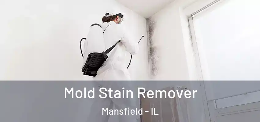  Mold Stain Remover Mansfield - IL