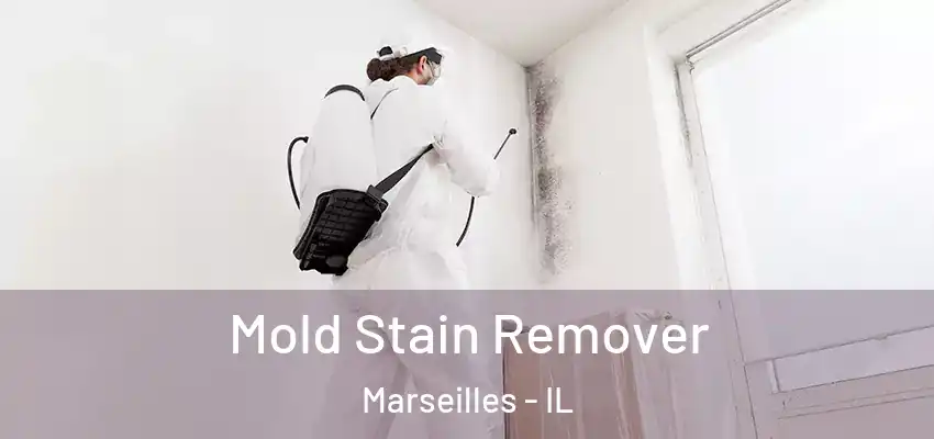 Mold Stain Remover Marseilles - IL