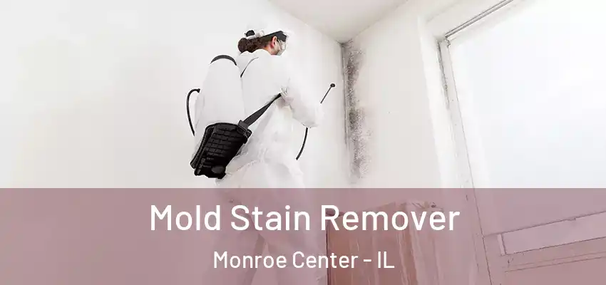  Mold Stain Remover Monroe Center - IL