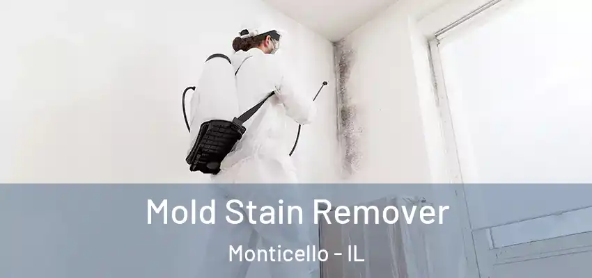  Mold Stain Remover Monticello - IL