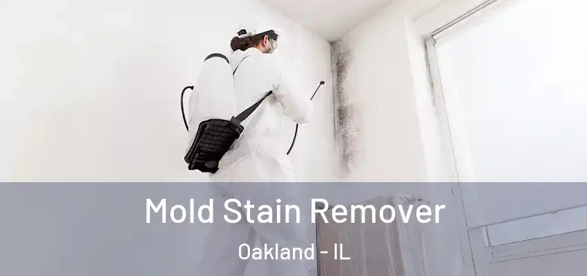  Mold Stain Remover Oakland - IL