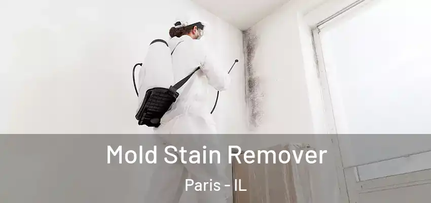  Mold Stain Remover Paris - IL