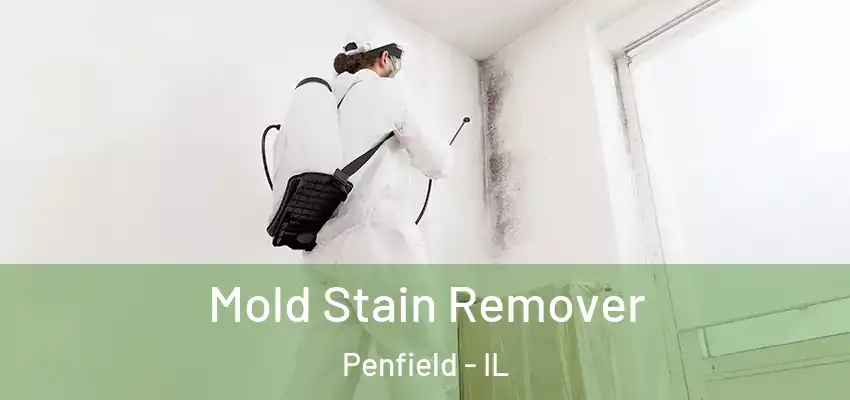  Mold Stain Remover Penfield - IL