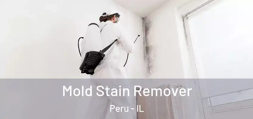  Mold Stain Remover Peru - IL