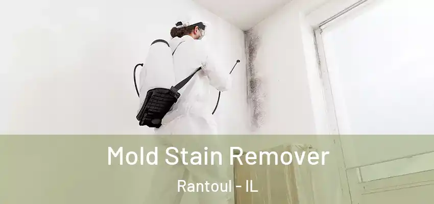  Mold Stain Remover Rantoul - IL