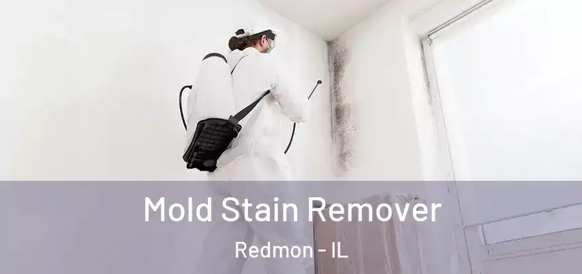  Mold Stain Remover Redmon - IL