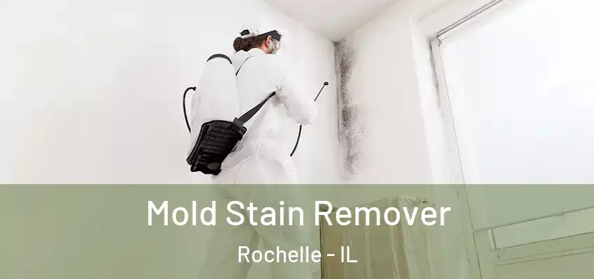  Mold Stain Remover Rochelle - IL