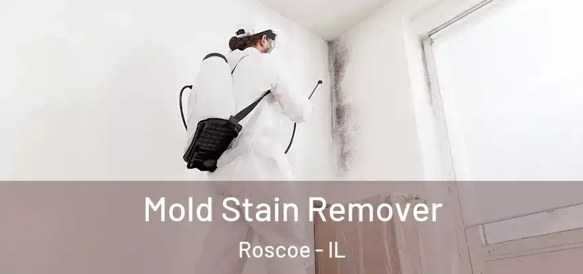  Mold Stain Remover Roscoe - IL