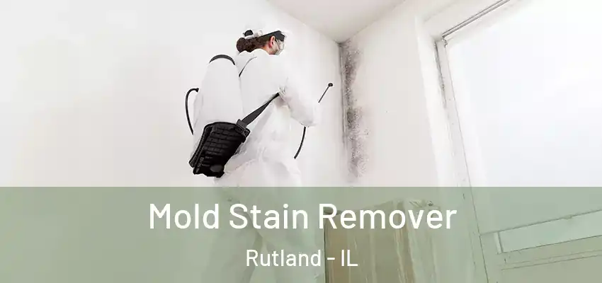  Mold Stain Remover Rutland - IL