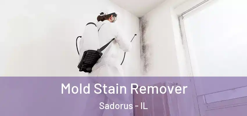  Mold Stain Remover Sadorus - IL