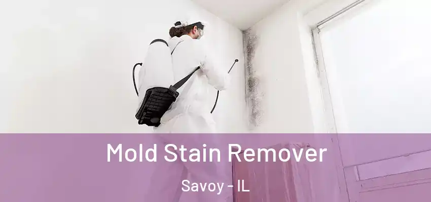 Mold Stain Remover Savoy - IL