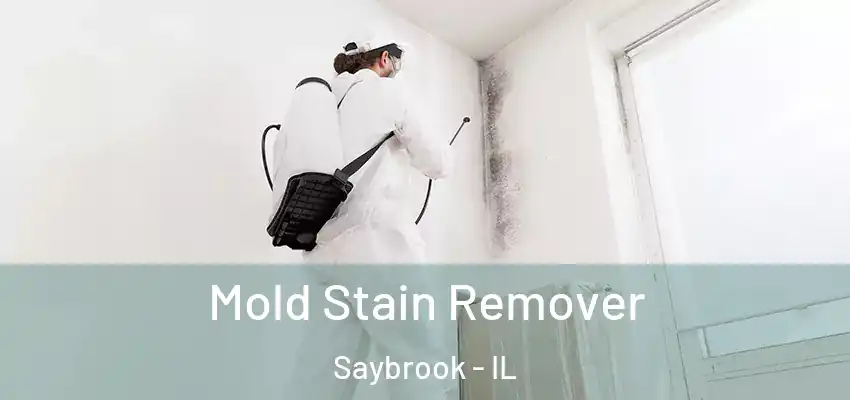  Mold Stain Remover Saybrook - IL