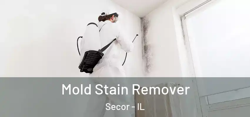  Mold Stain Remover Secor - IL