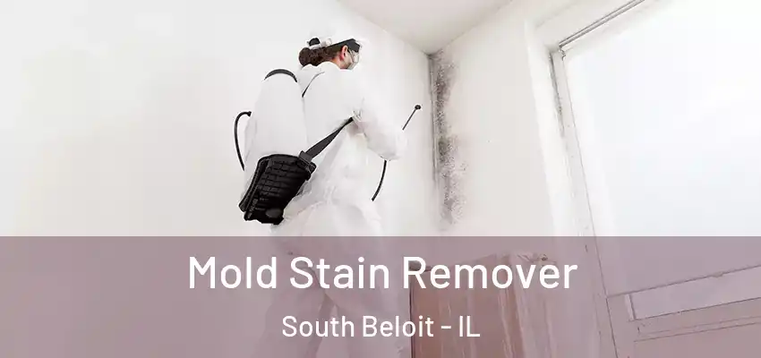  Mold Stain Remover South Beloit - IL