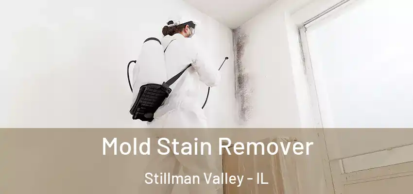  Mold Stain Remover Stillman Valley - IL