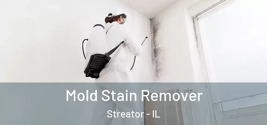  Mold Stain Remover Streator - IL