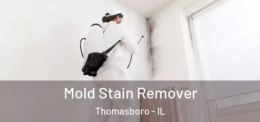  Mold Stain Remover Thomasboro - IL