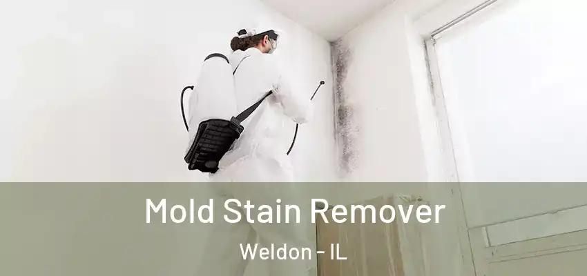  Mold Stain Remover Weldon - IL
