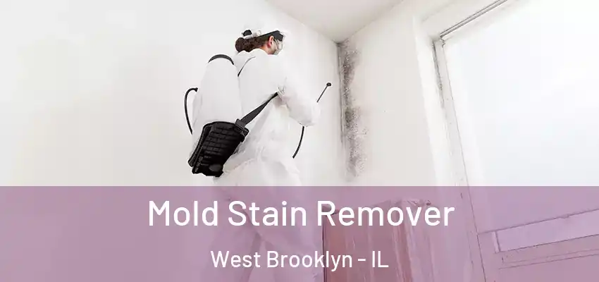  Mold Stain Remover West Brooklyn - IL