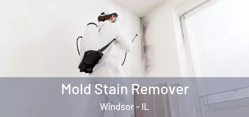  Mold Stain Remover Windsor - IL