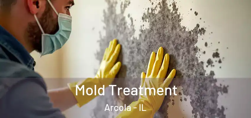  Mold Treatment Arcola - IL