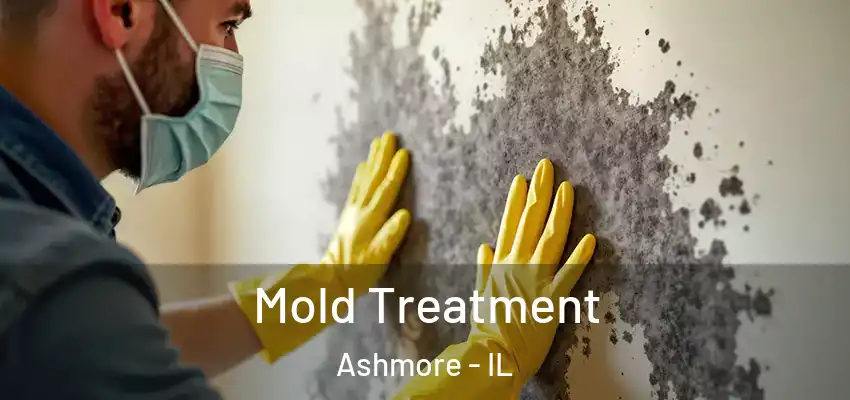  Mold Treatment Ashmore - IL
