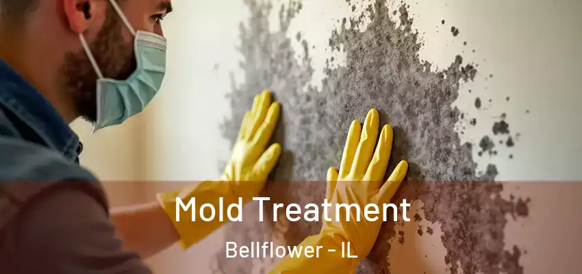  Mold Treatment Bellflower - IL