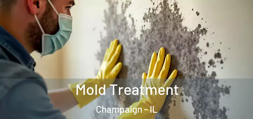  Mold Treatment Champaign - IL
