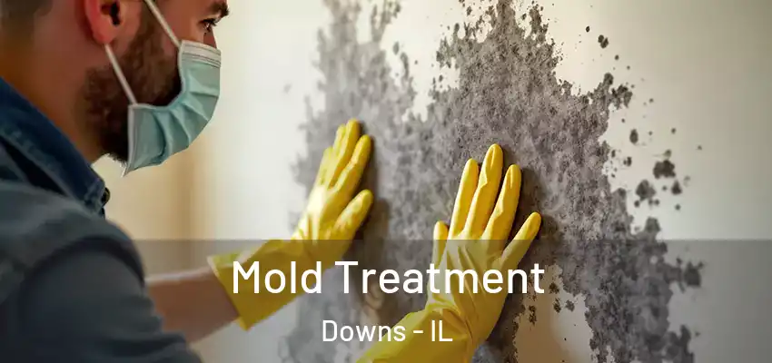  Mold Treatment Downs - IL