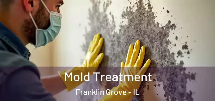  Mold Treatment Franklin Grove - IL