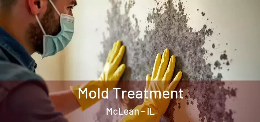  Mold Treatment McLean - IL