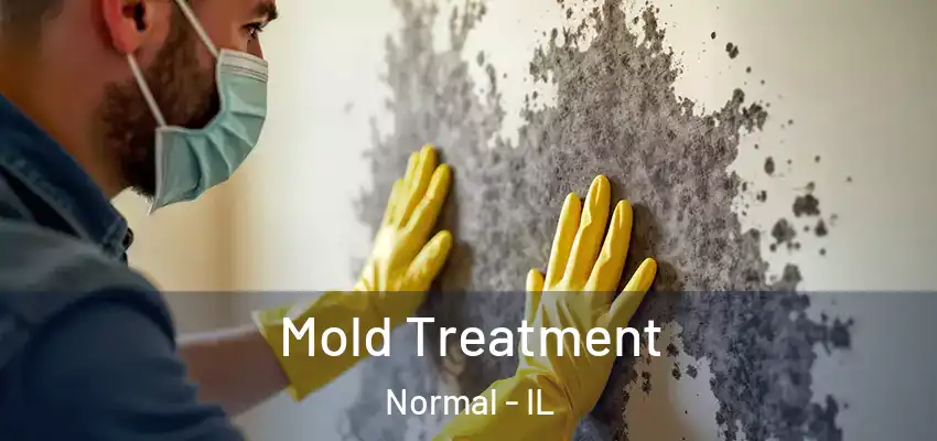  Mold Treatment Normal - IL